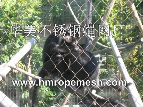 Animal Enclosure, Zoo Mesh